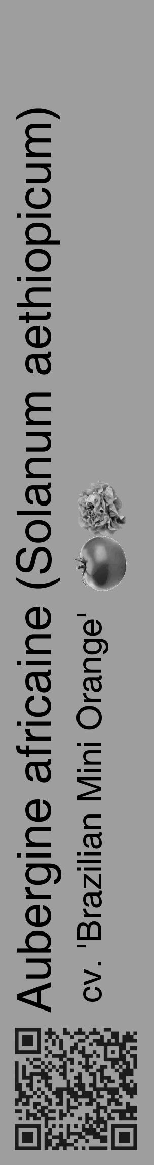 Étiquette de : Solanum aethiopicum cv. 'Brazilian Mini Orange' - format c - style noire23_basique_basiquehel avec qrcode et comestibilité simplifiée - position verticale