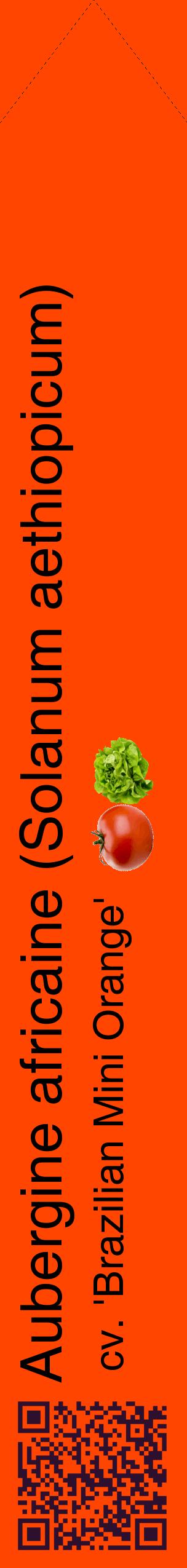 Étiquette de : Solanum aethiopicum cv. 'Brazilian Mini Orange' - format c - style noire26_simplehel avec qrcode et comestibilité simplifiée