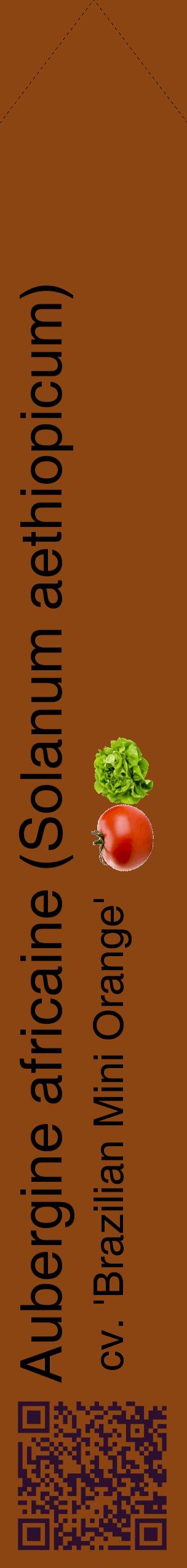 Étiquette de : Solanum aethiopicum cv. 'Brazilian Mini Orange' - format c - style noire30_simplehel avec qrcode et comestibilité simplifiée