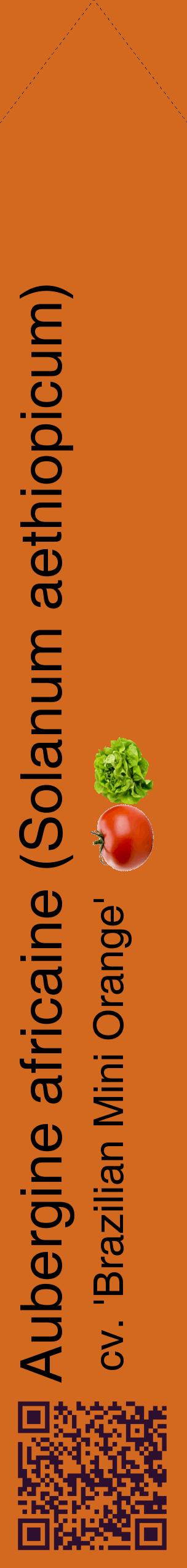 Étiquette de : Solanum aethiopicum cv. 'Brazilian Mini Orange' - format c - style noire31_simplehel avec qrcode et comestibilité simplifiée