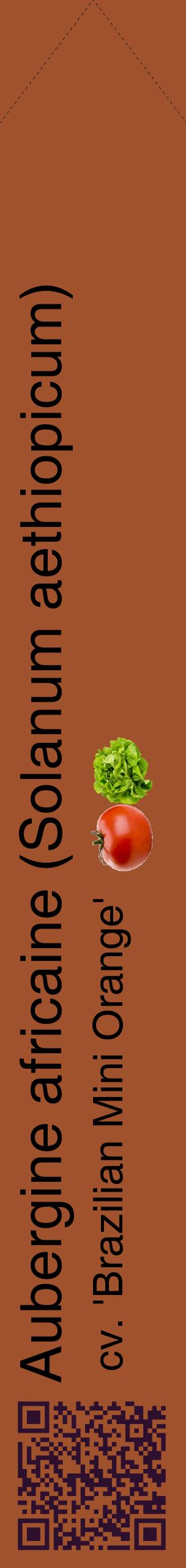 Étiquette de : Solanum aethiopicum cv. 'Brazilian Mini Orange' - format c - style noire32_simplehel avec qrcode et comestibilité simplifiée
