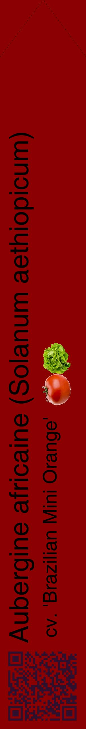 Étiquette de : Solanum aethiopicum cv. 'Brazilian Mini Orange' - format c - style noire34_simplehel avec qrcode et comestibilité simplifiée