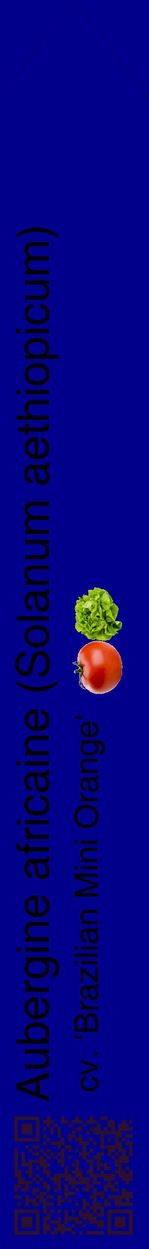 Étiquette de : Solanum aethiopicum cv. 'Brazilian Mini Orange' - format c - style noire7_simplehel avec qrcode et comestibilité simplifiée
