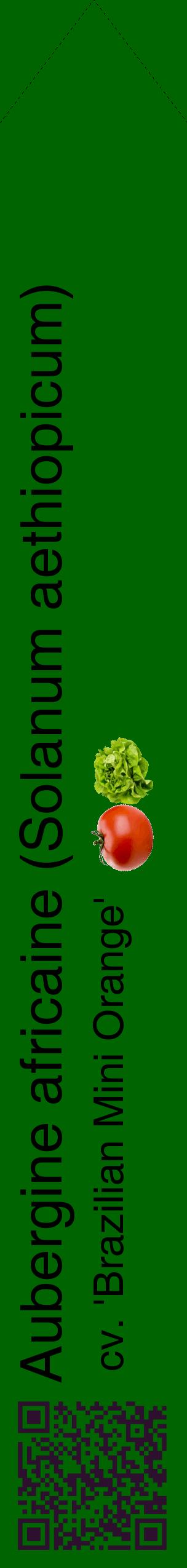 Étiquette de : Solanum aethiopicum cv. 'Brazilian Mini Orange' - format c - style noire8_simplehel avec qrcode et comestibilité simplifiée