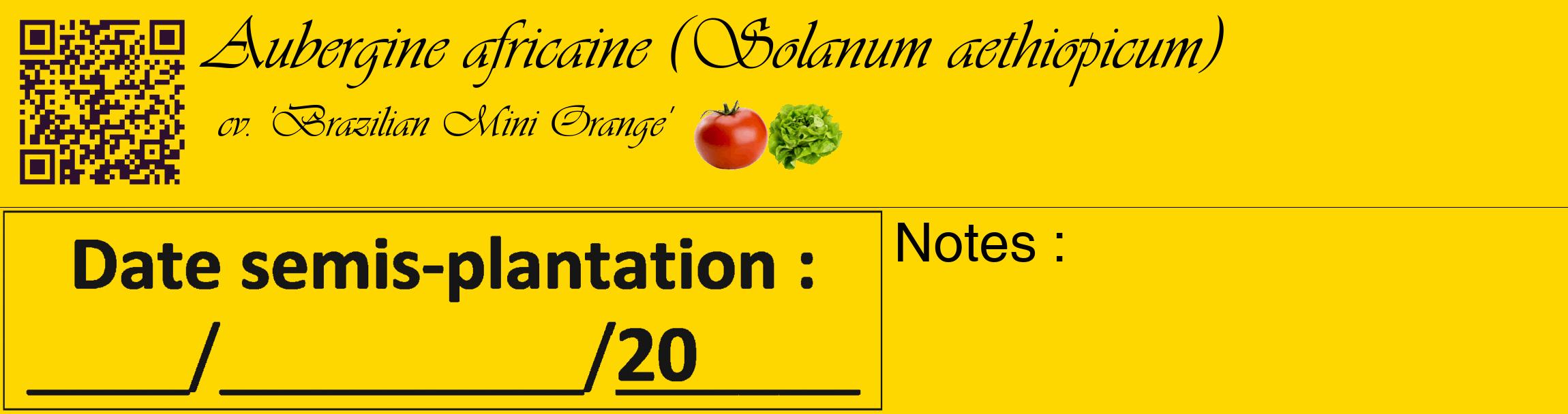 Étiquette de : Solanum aethiopicum cv. 'Brazilian Mini Orange' - format c - style noire21_basique_basiqueviv avec qrcode et comestibilité simplifiée