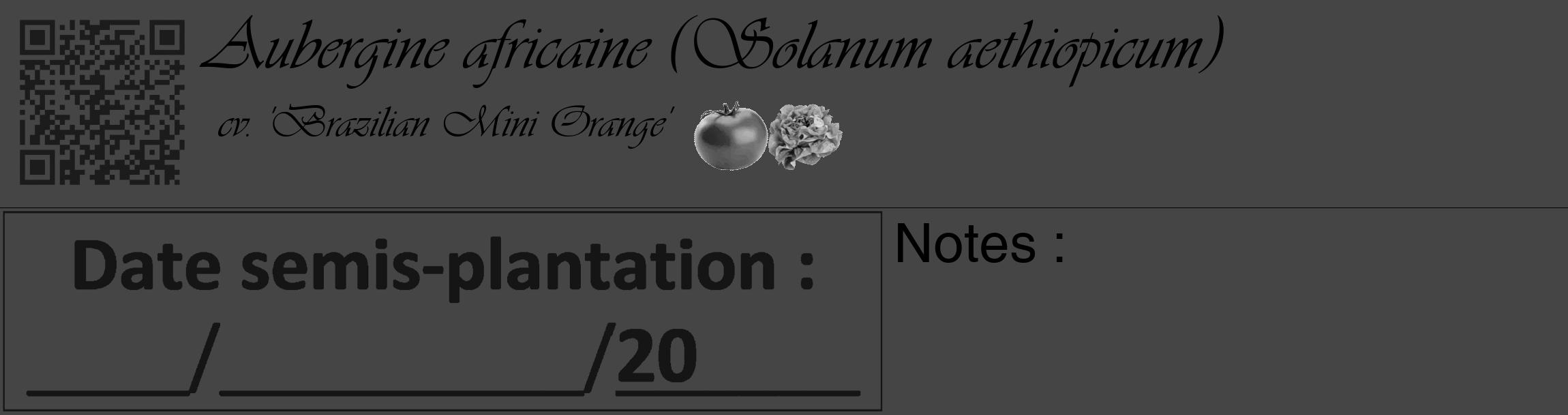 Étiquette de : Solanum aethiopicum cv. 'Brazilian Mini Orange' - format c - style noire58_basique_basiqueviv avec qrcode et comestibilité simplifiée