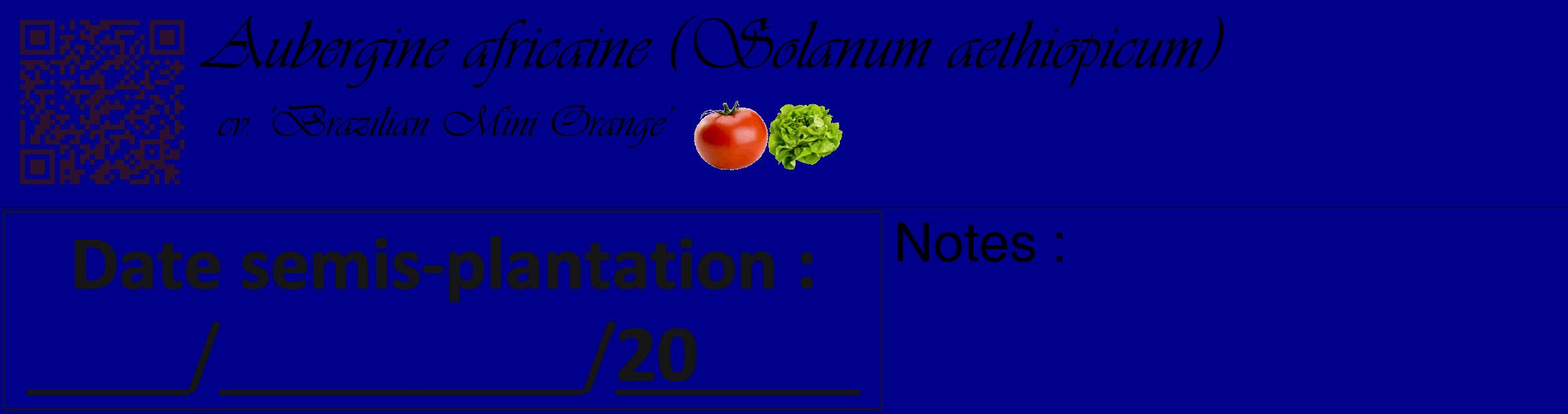 Étiquette de : Solanum aethiopicum cv. 'Brazilian Mini Orange' - format c - style noire7_basique_basiqueviv avec qrcode et comestibilité simplifiée