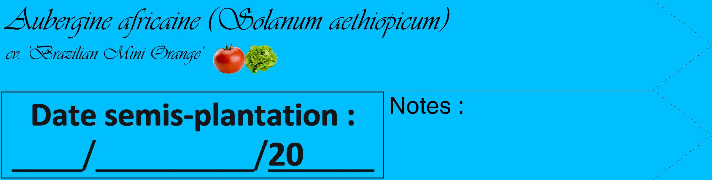 Étiquette de : Solanum aethiopicum cv. 'Brazilian Mini Orange' - format c - style noire2_simple_simpleviv avec comestibilité simplifiée