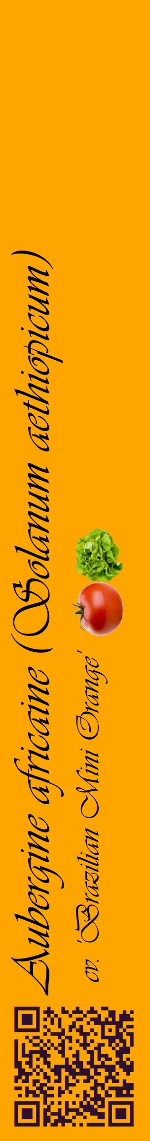 Étiquette de : Solanum aethiopicum cv. 'Brazilian Mini Orange' - format c - style noire22_basiqueviv avec qrcode et comestibilité simplifiée