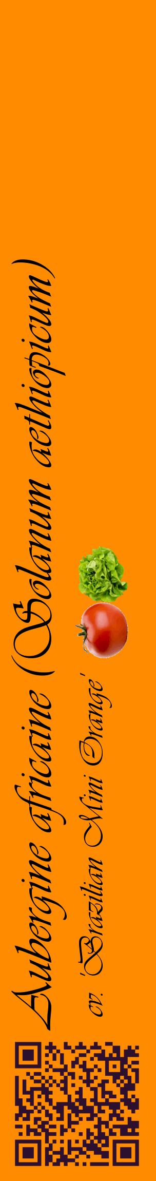Étiquette de : Solanum aethiopicum cv. 'Brazilian Mini Orange' - format c - style noire23_basiqueviv avec qrcode et comestibilité simplifiée