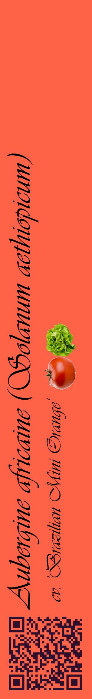 Étiquette de : Solanum aethiopicum cv. 'Brazilian Mini Orange' - format c - style noire25_basiqueviv avec qrcode et comestibilité simplifiée