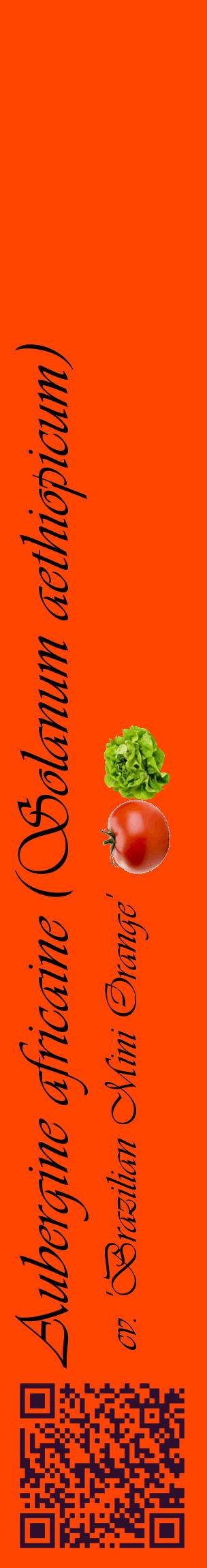 Étiquette de : Solanum aethiopicum cv. 'Brazilian Mini Orange' - format c - style noire26_basiqueviv avec qrcode et comestibilité simplifiée