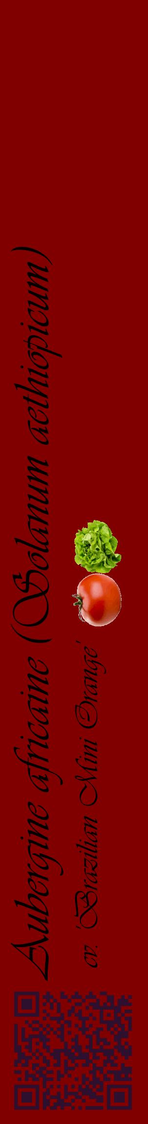 Étiquette de : Solanum aethiopicum cv. 'Brazilian Mini Orange' - format c - style noire29_basiqueviv avec qrcode et comestibilité simplifiée