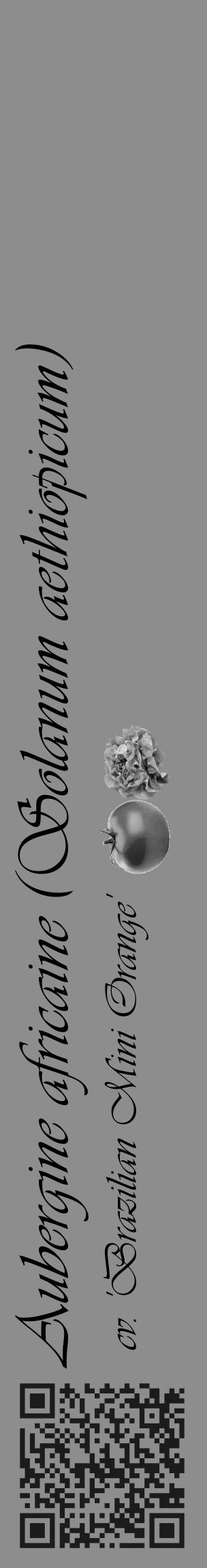 Étiquette de : Solanum aethiopicum cv. 'Brazilian Mini Orange' - format c - style noire2_basique_basiqueviv avec qrcode et comestibilité simplifiée - position verticale
