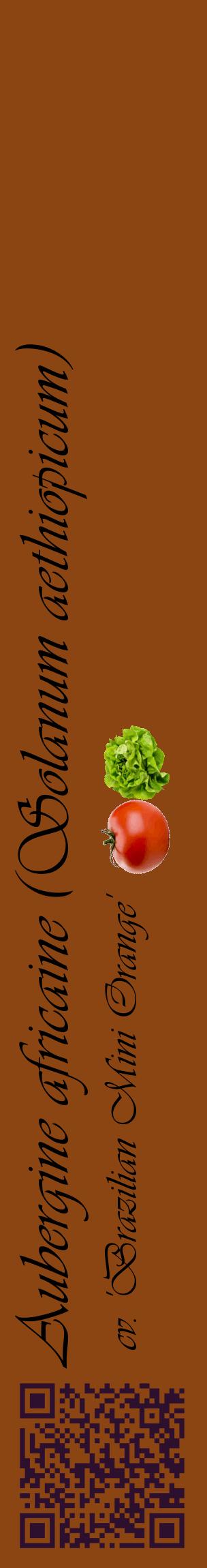 Étiquette de : Solanum aethiopicum cv. 'Brazilian Mini Orange' - format c - style noire30_basiqueviv avec qrcode et comestibilité simplifiée