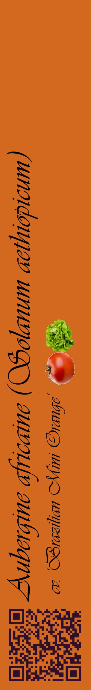 Étiquette de : Solanum aethiopicum cv. 'Brazilian Mini Orange' - format c - style noire31_basiqueviv avec qrcode et comestibilité simplifiée