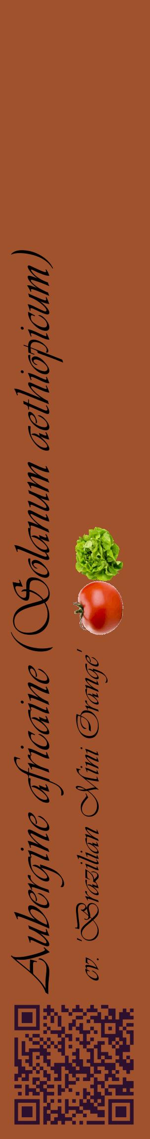 Étiquette de : Solanum aethiopicum cv. 'Brazilian Mini Orange' - format c - style noire32_basiqueviv avec qrcode et comestibilité simplifiée