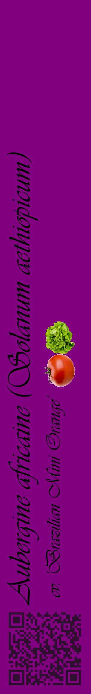 Étiquette de : Solanum aethiopicum cv. 'Brazilian Mini Orange' - format c - style noire46_basiqueviv avec qrcode et comestibilité simplifiée