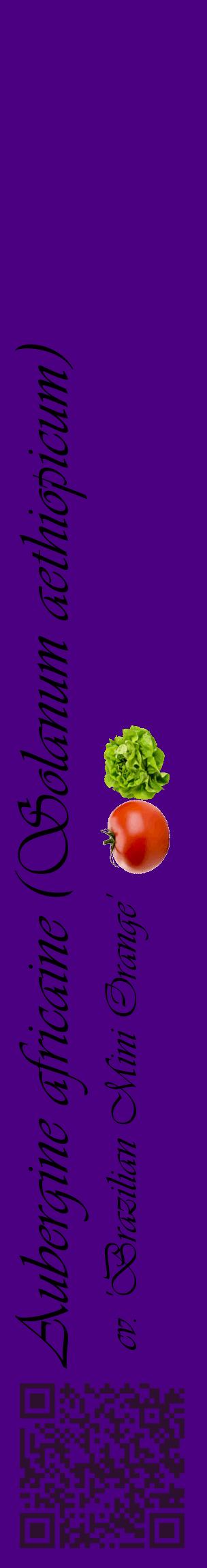 Étiquette de : Solanum aethiopicum cv. 'Brazilian Mini Orange' - format c - style noire47_basiqueviv avec qrcode et comestibilité simplifiée