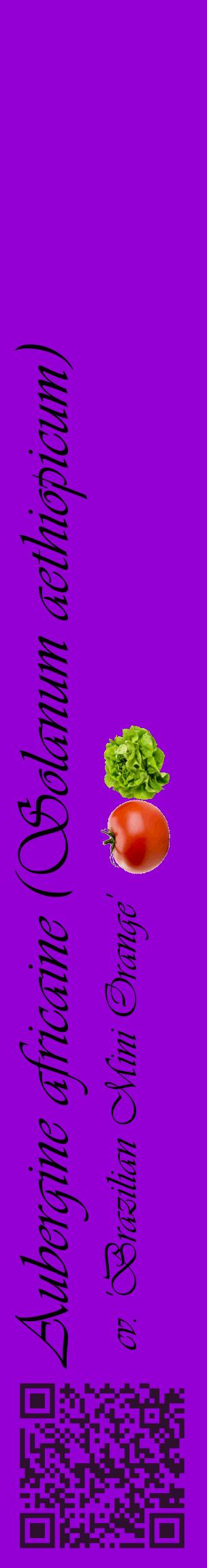 Étiquette de : Solanum aethiopicum cv. 'Brazilian Mini Orange' - format c - style noire48_basiqueviv avec qrcode et comestibilité simplifiée