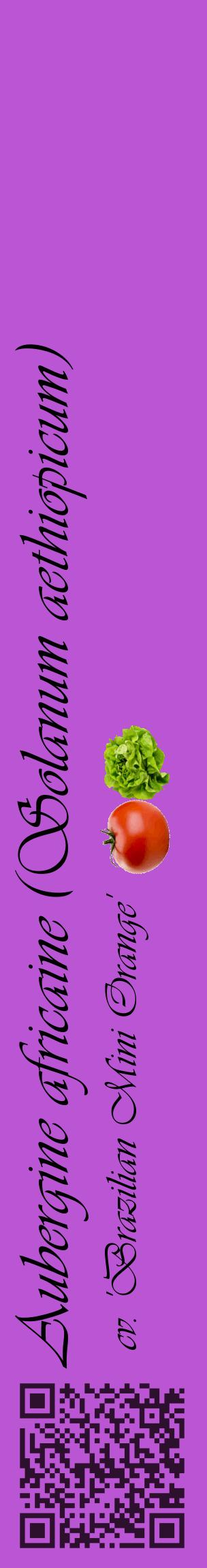 Étiquette de : Solanum aethiopicum cv. 'Brazilian Mini Orange' - format c - style noire50_basiqueviv avec qrcode et comestibilité simplifiée