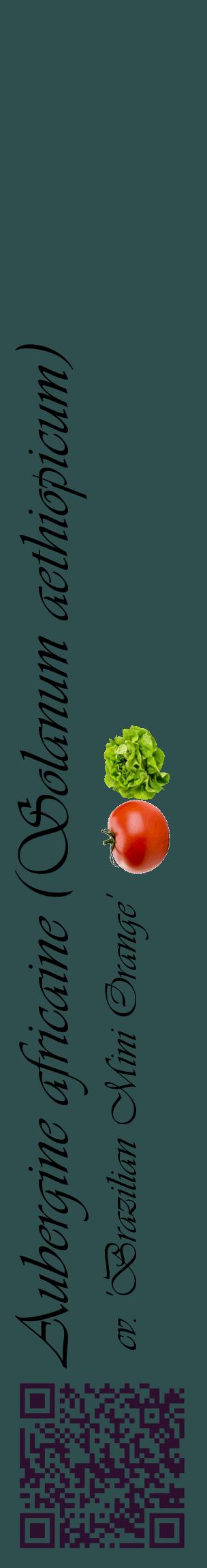Étiquette de : Solanum aethiopicum cv. 'Brazilian Mini Orange' - format c - style noire58_basiqueviv avec qrcode et comestibilité simplifiée