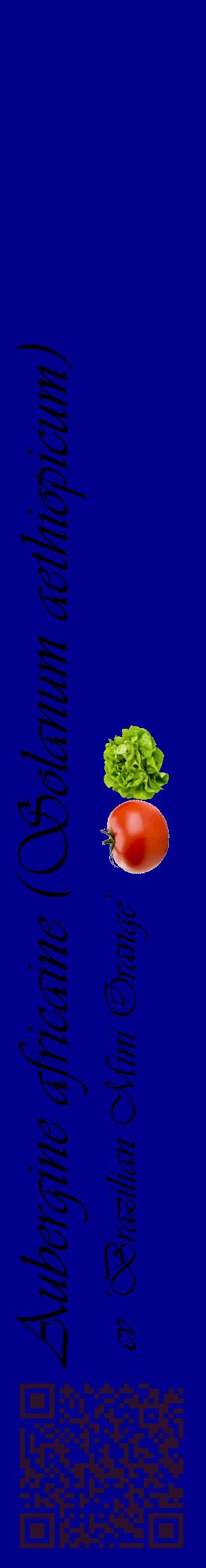 Étiquette de : Solanum aethiopicum cv. 'Brazilian Mini Orange' - format c - style noire7_basiqueviv avec qrcode et comestibilité simplifiée