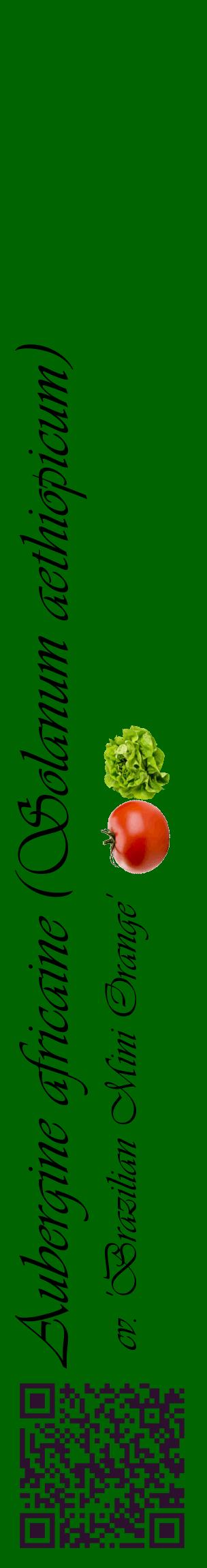 Étiquette de : Solanum aethiopicum cv. 'Brazilian Mini Orange' - format c - style noire8_basiqueviv avec qrcode et comestibilité simplifiée