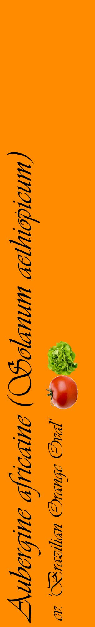 Étiquette de : Solanum aethiopicum cv. 'Brazilian Orange Oval' - format c - style noire23_basiqueviv avec comestibilité simplifiée