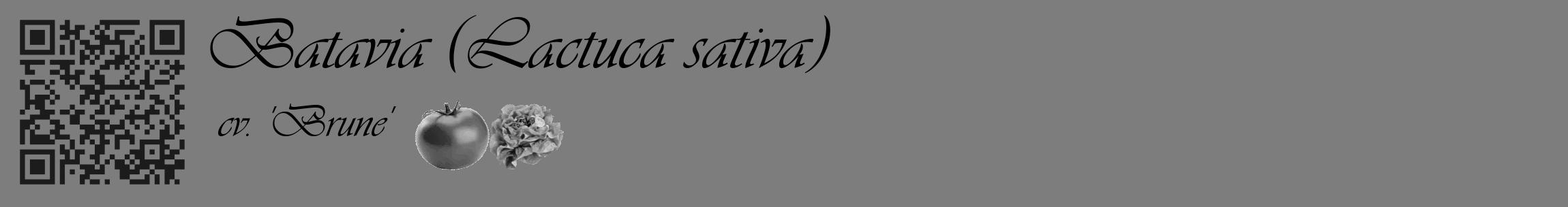 Étiquette de : Lactuca sativa cv. 'Brune' - format c - style noire35_basique_basiqueviv avec qrcode et comestibilité simplifiée