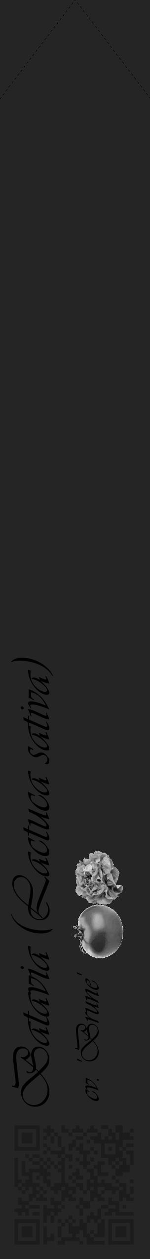 Étiquette de : Lactuca sativa cv. 'Brune' - format c - style noire47simple_basique_basiqueviv avec qrcode et comestibilité simplifiée - position verticale