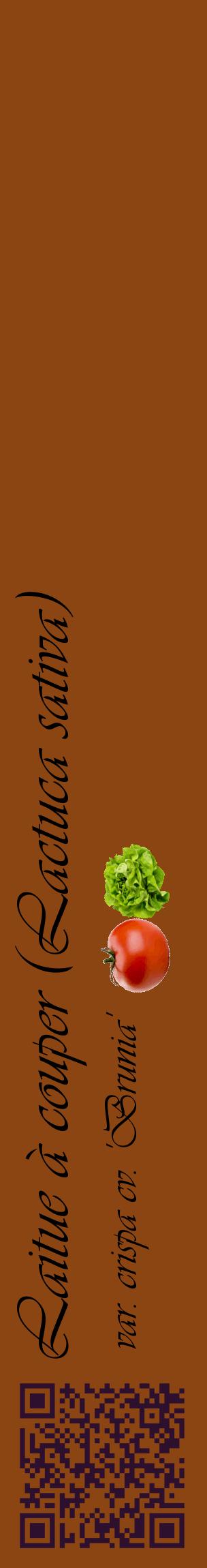 Étiquette de : Lactuca sativa var. crispa cv. 'Brunia' - format c - style noire30_basiqueviv avec qrcode et comestibilité simplifiée