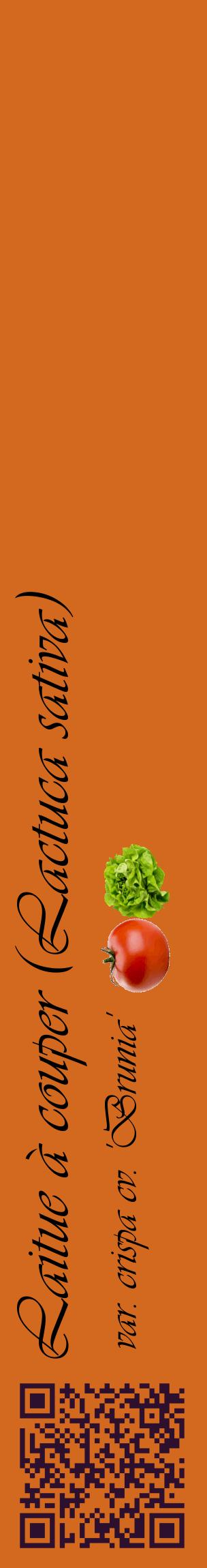 Étiquette de : Lactuca sativa var. crispa cv. 'Brunia' - format c - style noire31_basiqueviv avec qrcode et comestibilité simplifiée
