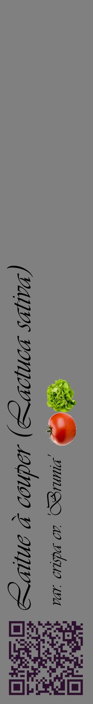 Étiquette de : Lactuca sativa var. crispa cv. 'Brunia' - format c - style noire57_basiqueviv avec qrcode et comestibilité simplifiée