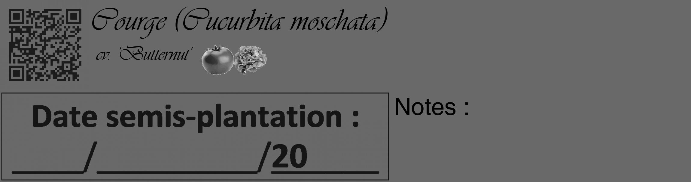 Étiquette de : Cucurbita moschata cv. 'Butternut' - format c - style noire11basique_basique_basiqueviv avec qrcode et comestibilité simplifiée