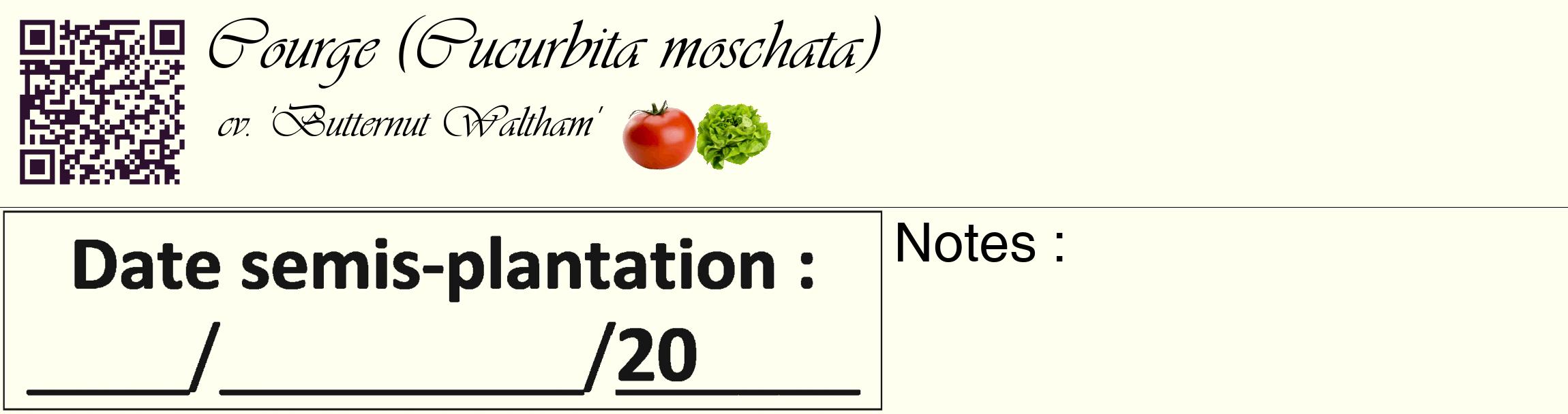 Étiquette de : Cucurbita moschata cv. 'Butternut Waltham' - format c - style noire19_basique_basiqueviv avec qrcode et comestibilité simplifiée