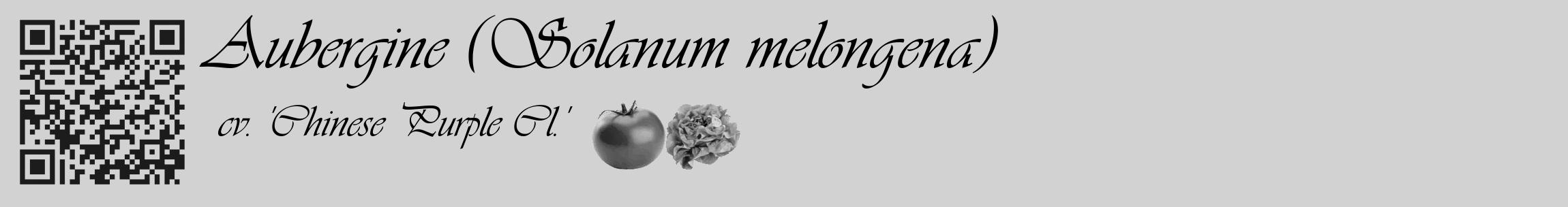 Étiquette de : Solanum melongena cv. 'Chinese Purple Cl.' - format c - style noire14_basique_basiqueviv avec qrcode et comestibilité simplifiée