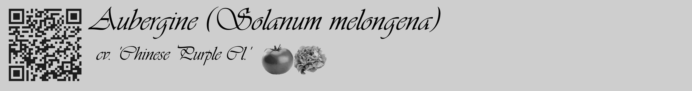 Étiquette de : Solanum melongena cv. 'Chinese Purple Cl.' - format c - style noire17_basique_basiqueviv avec qrcode et comestibilité simplifiée