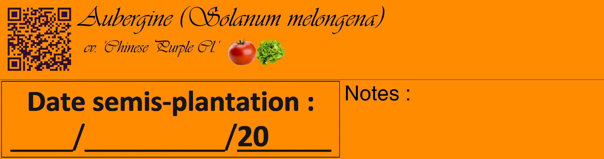 Étiquette de : Solanum melongena cv. 'Chinese Purple Cl.' - format c - style noire23_basique_basiqueviv avec qrcode et comestibilité simplifiée