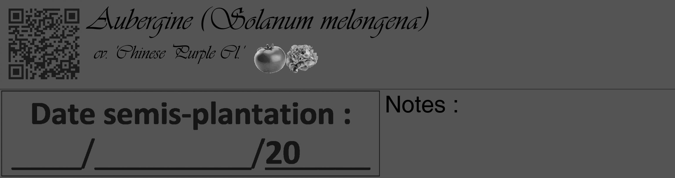 Étiquette de : Solanum melongena cv. 'Chinese Purple Cl.' - format c - style noire36_basique_basiqueviv avec qrcode et comestibilité simplifiée