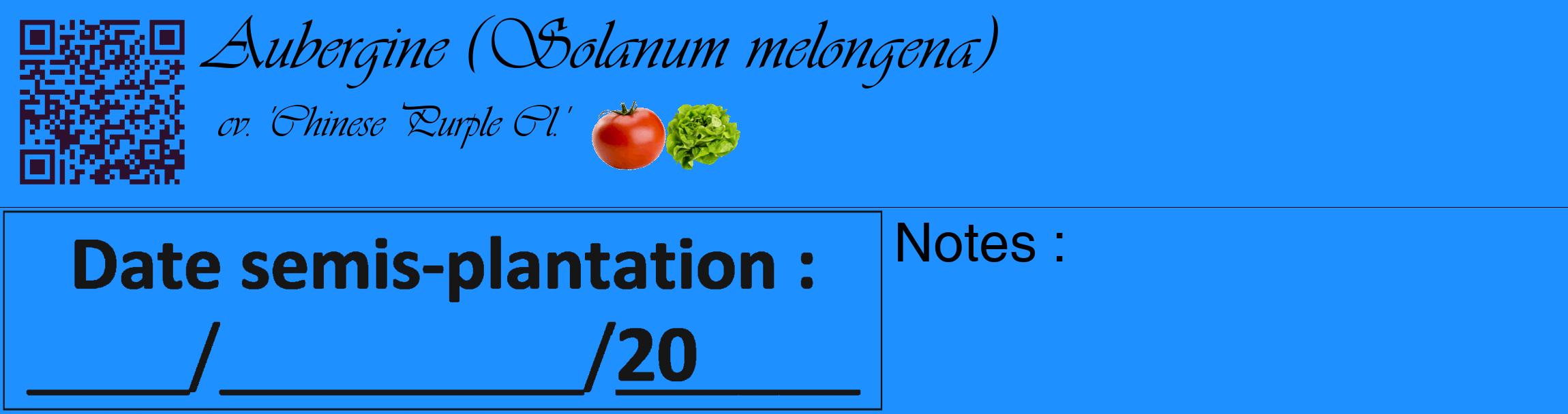 Étiquette de : Solanum melongena cv. 'Chinese Purple Cl.' - format c - style noire3_basique_basiqueviv avec qrcode et comestibilité simplifiée