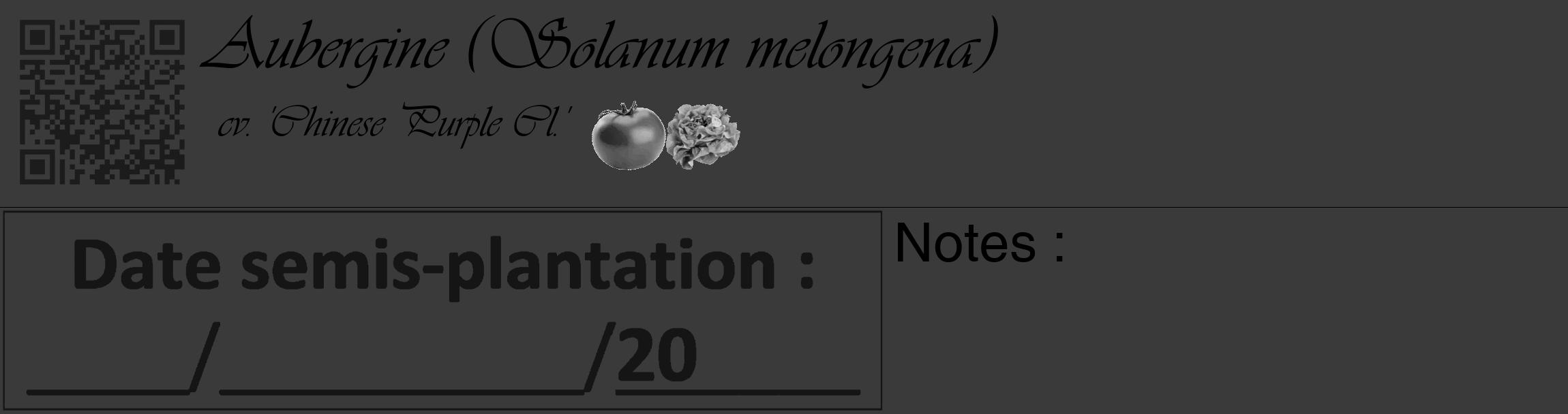 Étiquette de : Solanum melongena cv. 'Chinese Purple Cl.' - format c - style noire8_basique_basiqueviv avec qrcode et comestibilité simplifiée