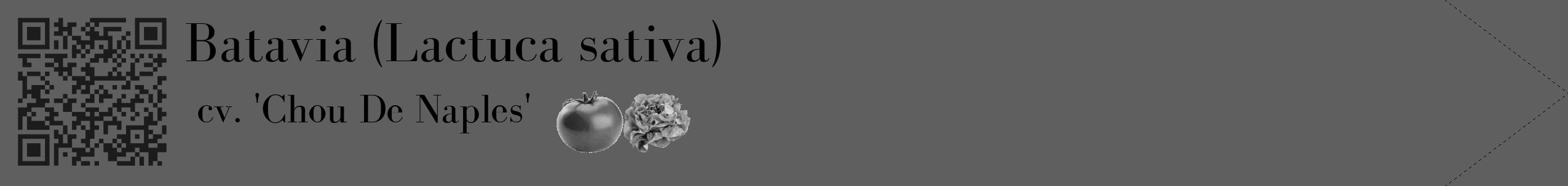 Étiquette de : Lactuca sativa cv. 'Chou De Naples' - format c - style noire10_simple_simplebod avec qrcode et comestibilité simplifiée