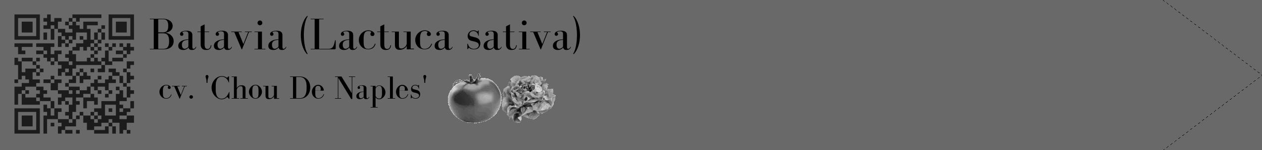 Étiquette de : Lactuca sativa cv. 'Chou De Naples' - format c - style noire51_simple_simplebod avec qrcode et comestibilité simplifiée