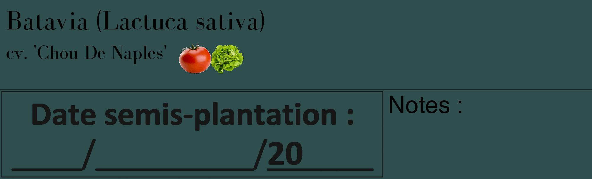 Étiquette de : Lactuca sativa cv. 'Chou De Naples' - format c - style noire58_basique_basiquebod avec comestibilité simplifiée