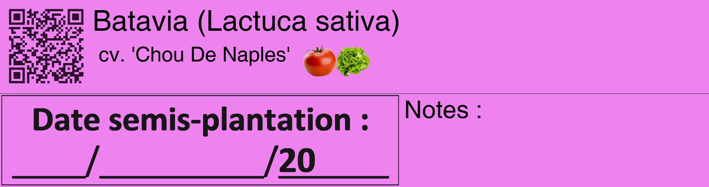 Étiquette de : Lactuca sativa cv. 'Chou De Naples' - format c - style noire53_basique_basiquehel avec qrcode et comestibilité simplifiée