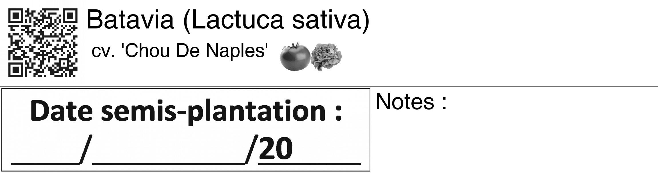 Étiquette de : Lactuca sativa cv. 'Chou De Naples' - format c - style noire60_basiquegrrvhel avec qrcode et comestibilité simplifiée