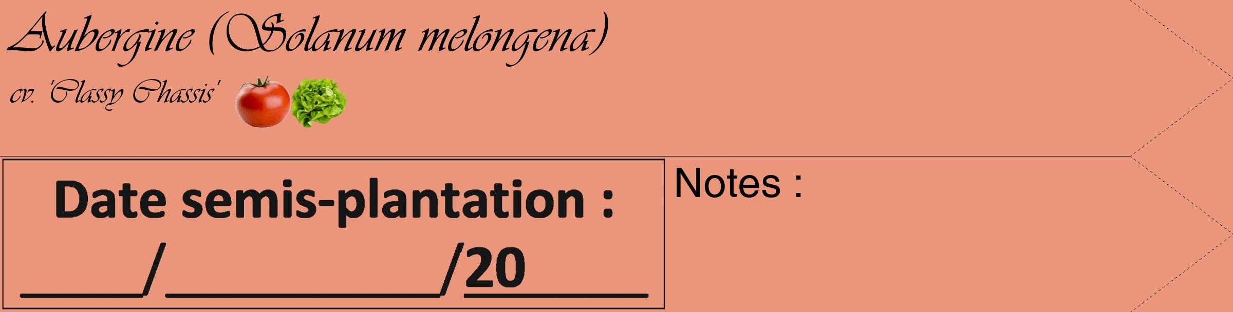 Étiquette de : Solanum melongena cv. 'Classy Chassis' - format c - style noire37_simple_simpleviv avec comestibilité simplifiée