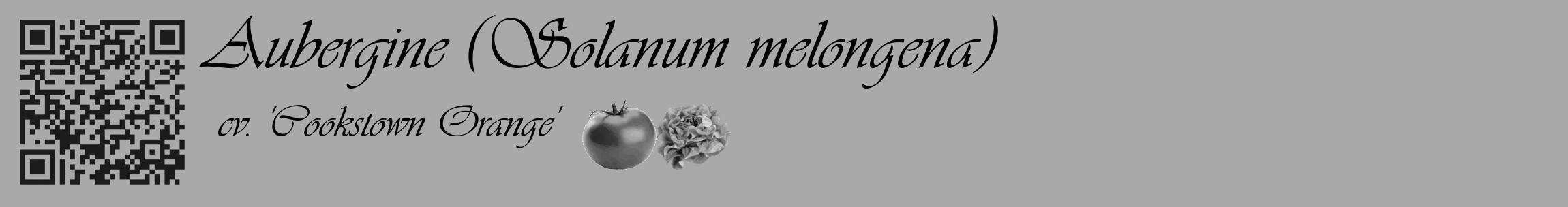 Étiquette de : Solanum melongena cv. 'Cookstown Orange' - format c - style noire13_basique_basiqueviv avec qrcode et comestibilité simplifiée