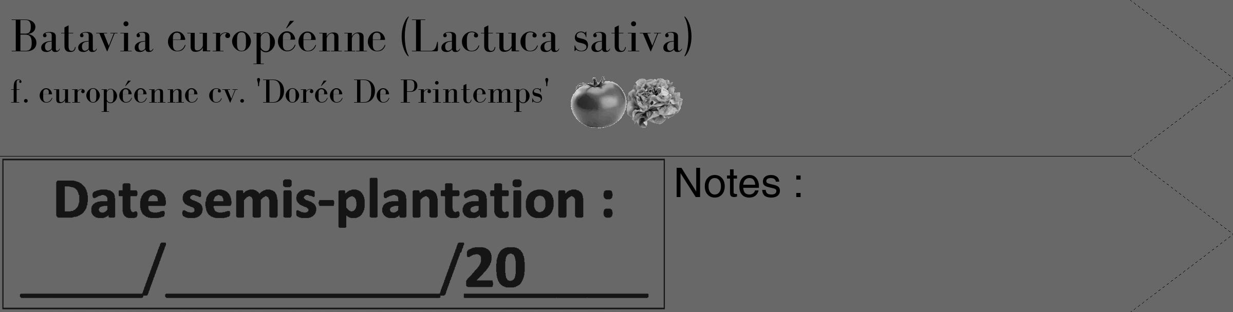 Étiquette de : Lactuca sativa f. européenne cv. 'Dorée De Printemps' - format c - style noire43_simple_simplebod avec comestibilité simplifiée